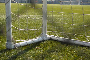 mk体育app-中国足球门将扑救区域热图，中国足球门将最差吗