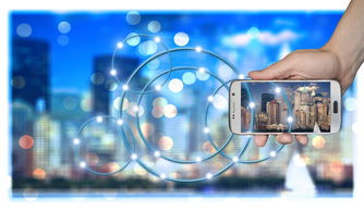 mk体育官网-高校运动训练科学化管理策略研究，高校运动训练科学化管理策略研究论文